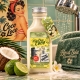 Gel Douche Authentique Coco Loco – Boud’Soie