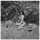 Bettie Page, La pin-up des fifties !